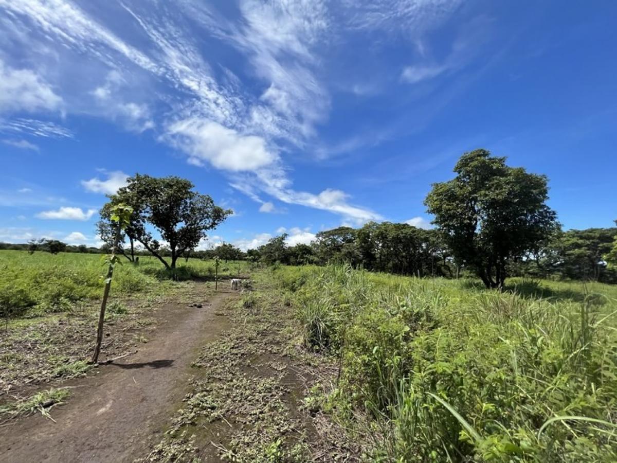 Picture of Residential Land For Sale in Liberia, Guanacaste, Costa Rica