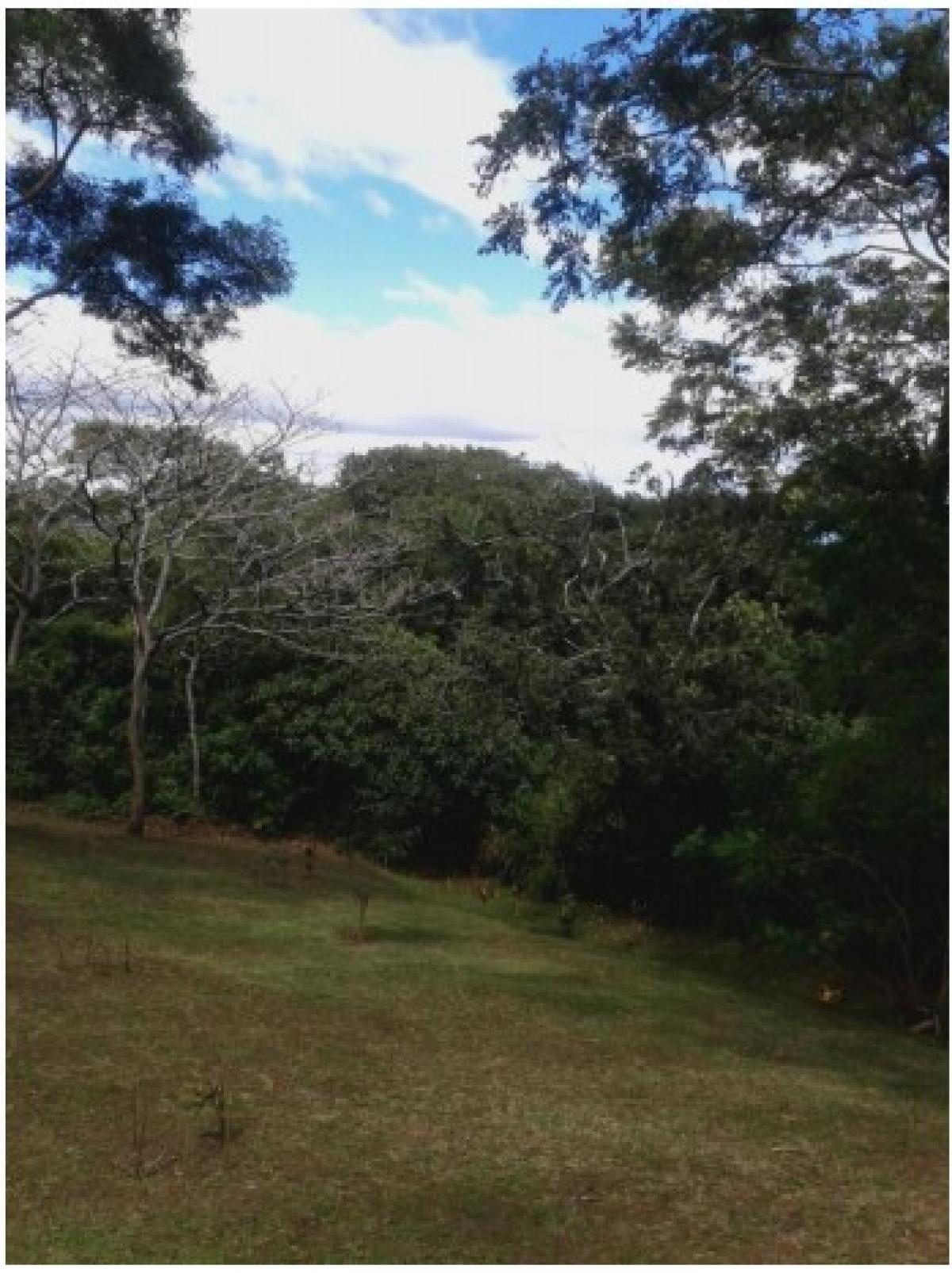 Picture of Residential Land For Sale in Santa Ana, San Jose, Costa Rica