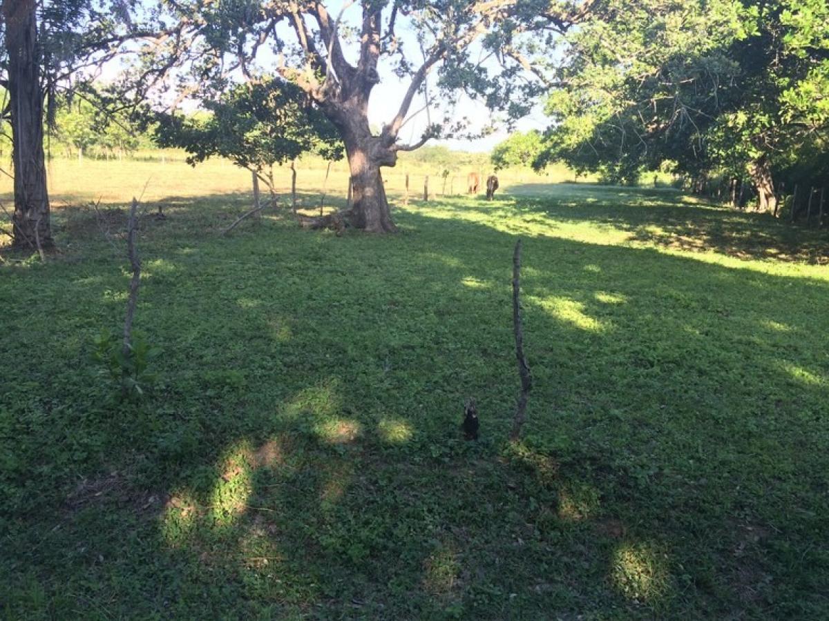 Picture of Residential Land For Sale in Liberia, Guanacaste, Costa Rica