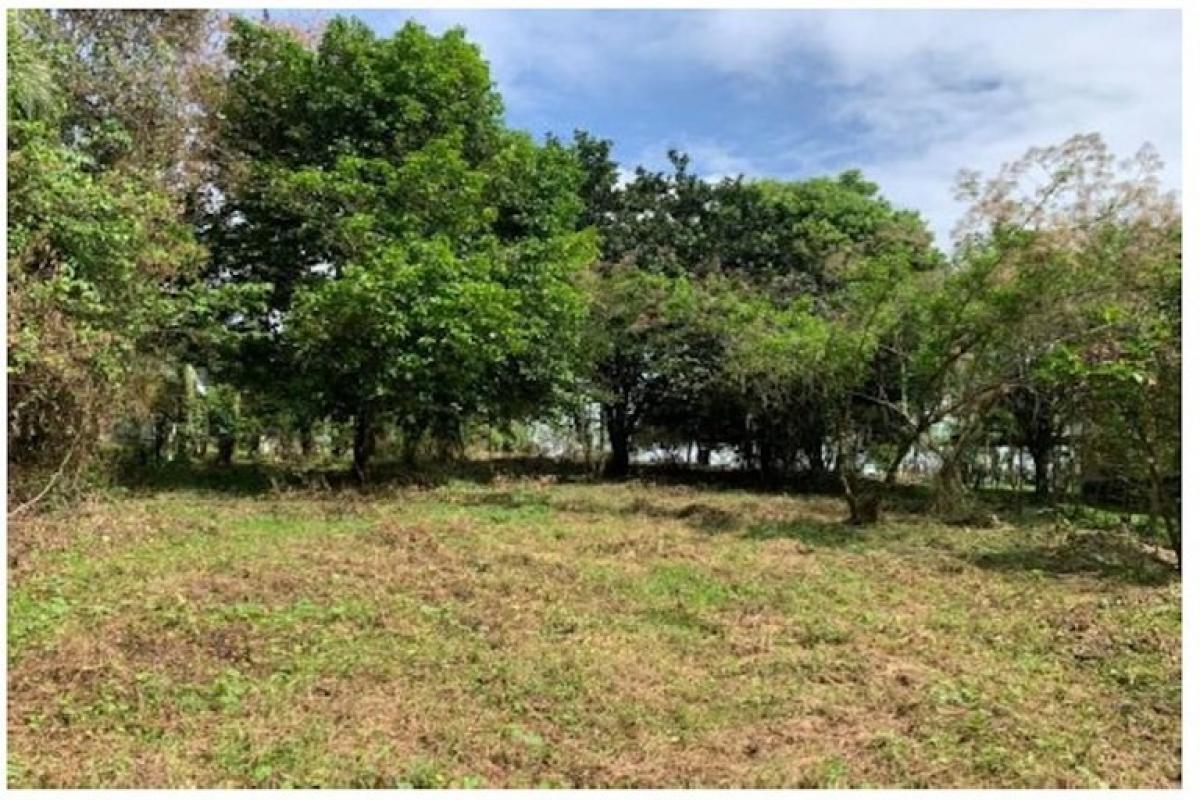 Picture of Residential Land For Sale in Guacimo, Limon, Costa Rica