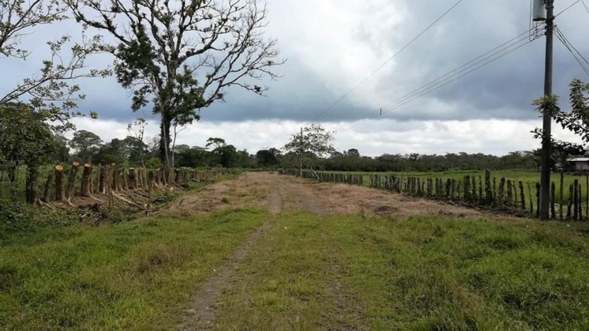 Picture of Residential Land For Sale in Sarapiqui, Heredia, Costa Rica