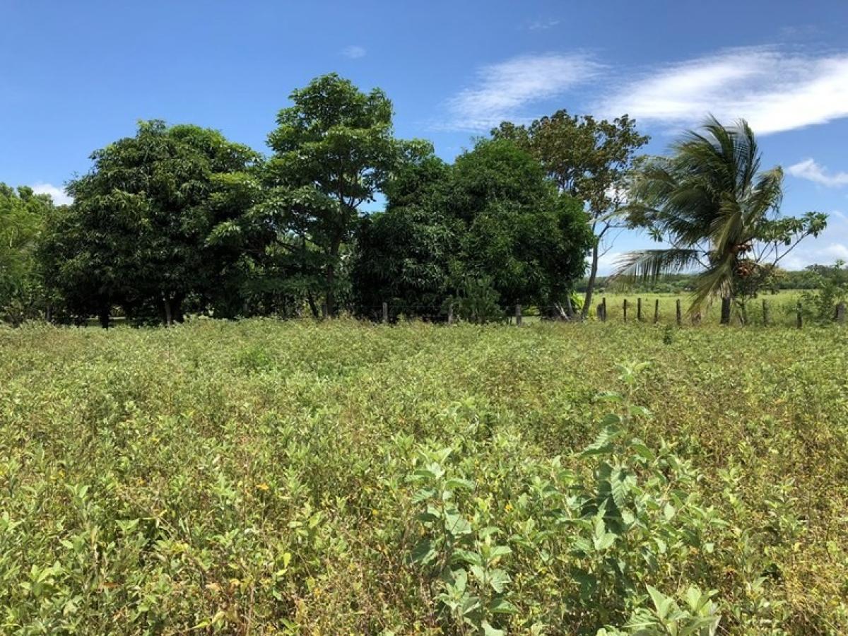 Picture of Residential Land For Sale in Liberia, Guanacaste, Costa Rica