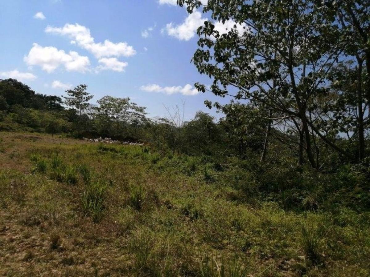 Picture of Residential Land For Sale in Aguirre, Puntarenas, Costa Rica