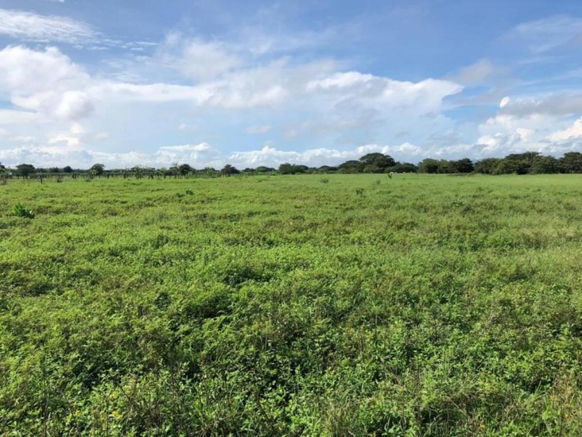 Picture of Residential Land For Sale in Carrillo, Guanacaste, Costa Rica