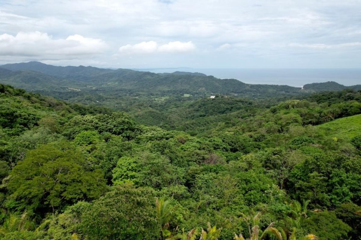 Picture of Residential Land For Sale in Hojancha, Guanacaste, Costa Rica