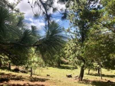 Residential Land For Sale in San Isidro, Costa Rica