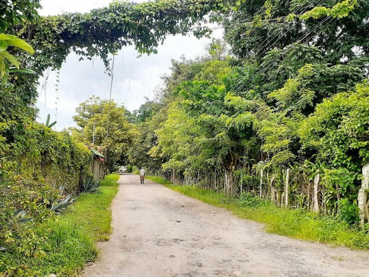 Picture of Home For Sale in Liberia, Guanacaste, Costa Rica