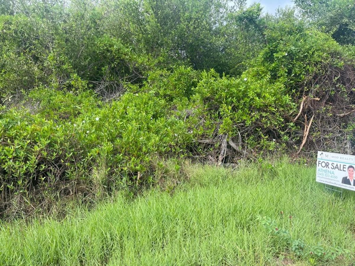 Picture of Residential Land For Sale in Savannah/ Lower Valley, Grand Cayman, Cayman Islands