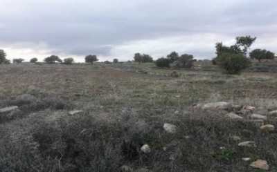 Residential Land For Sale in Pachna, Cyprus