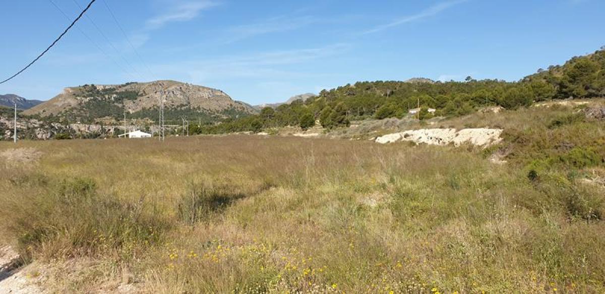 Picture of Residential Land For Sale in La Romana, Alicante, Spain