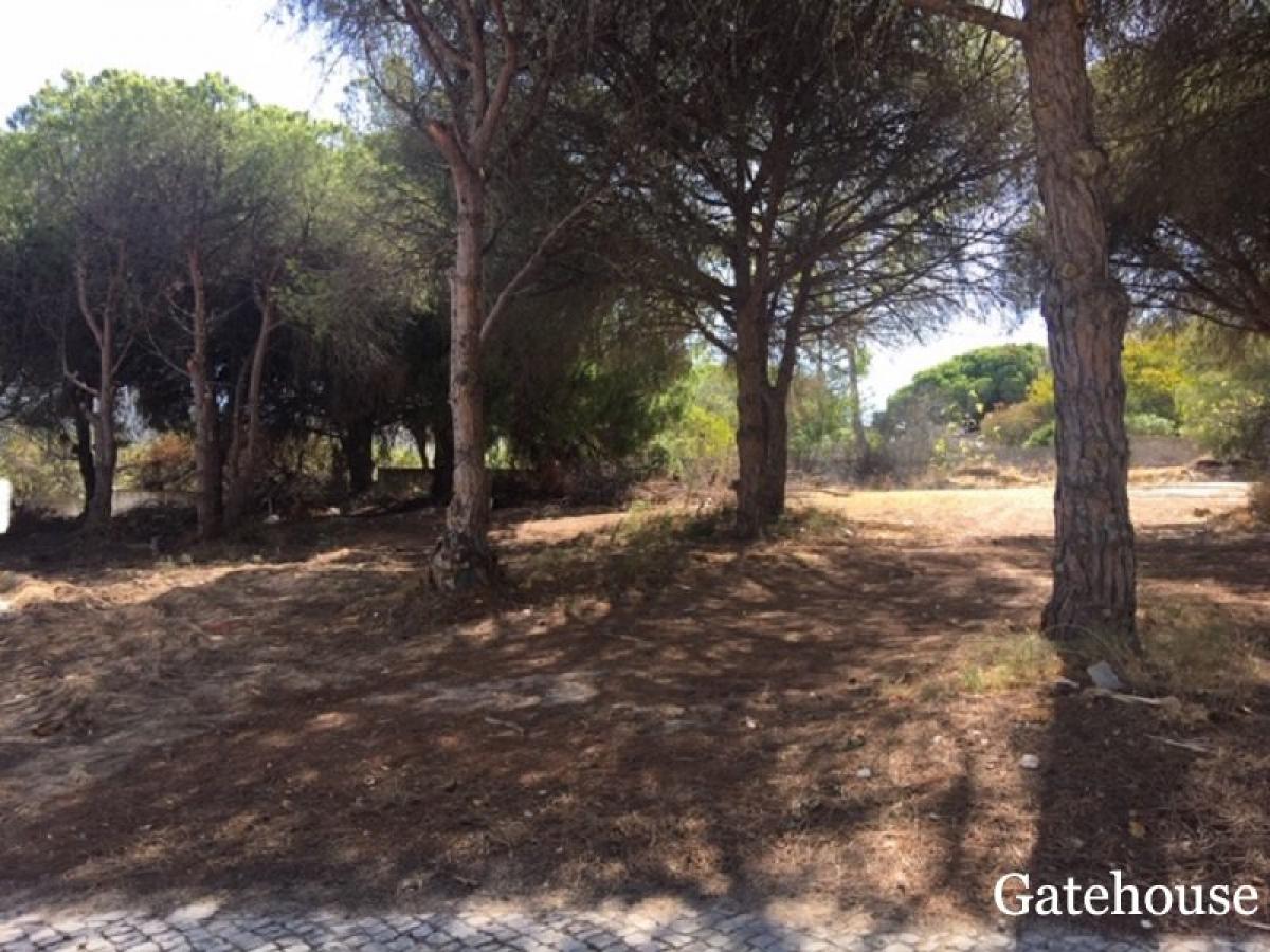 Picture of Residential Land For Sale in Vale Do Lobo, Algarve, Portugal