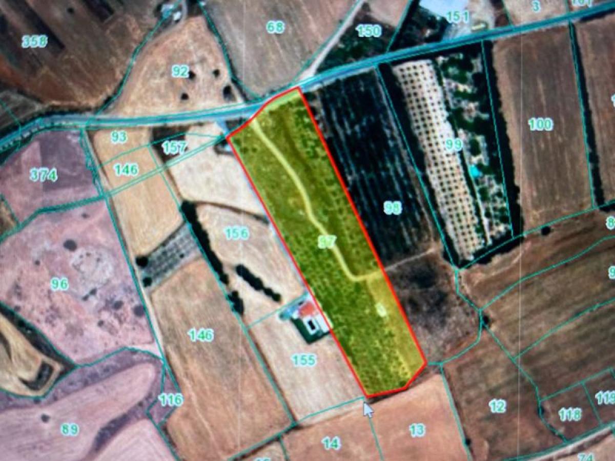 Picture of Residential Land For Sale in Kouklia, Paphos, Cyprus