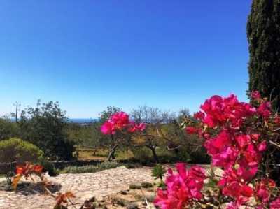 Home For Sale in Loule, Portugal