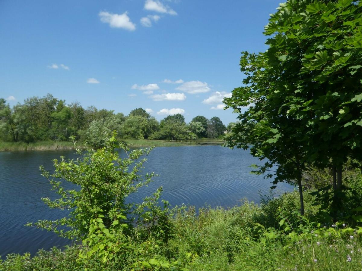 Picture of Residential Land For Sale in Alpena, Michigan, United States