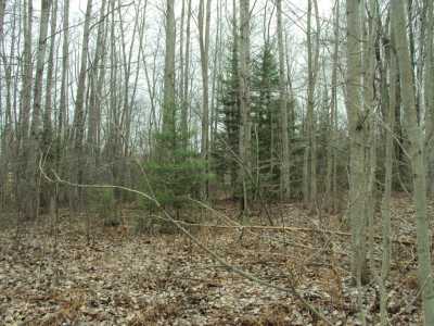 Residential Land For Sale in Wolverine, Michigan