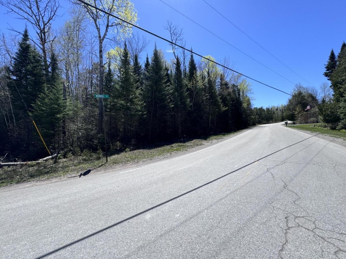 Picture of Residential Land For Sale in Rogers City, Michigan, United States