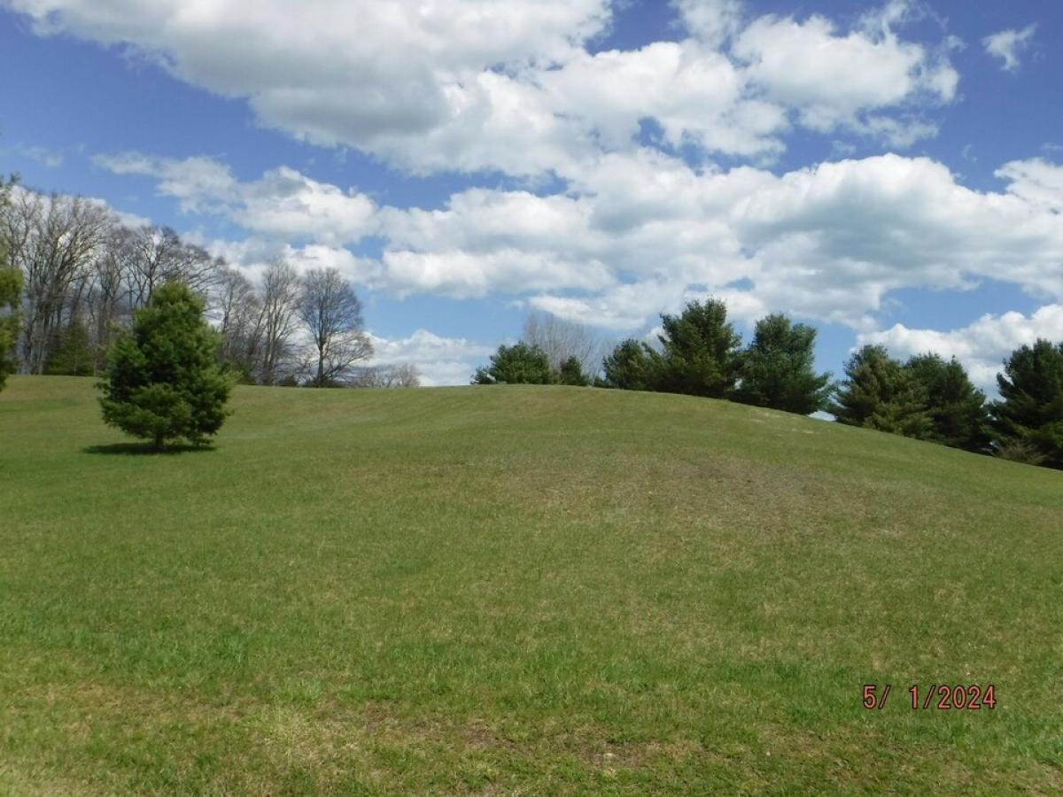 Picture of Residential Land For Sale in Harrisville, Michigan, United States