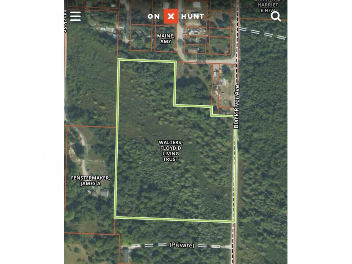 Picture of Residential Land For Sale in Tower, Michigan, United States