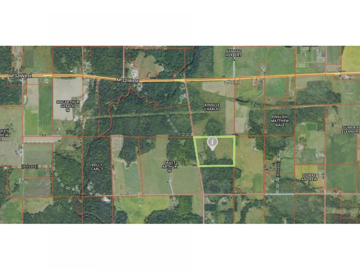 Picture of Residential Land For Sale in Lachine, Michigan, United States