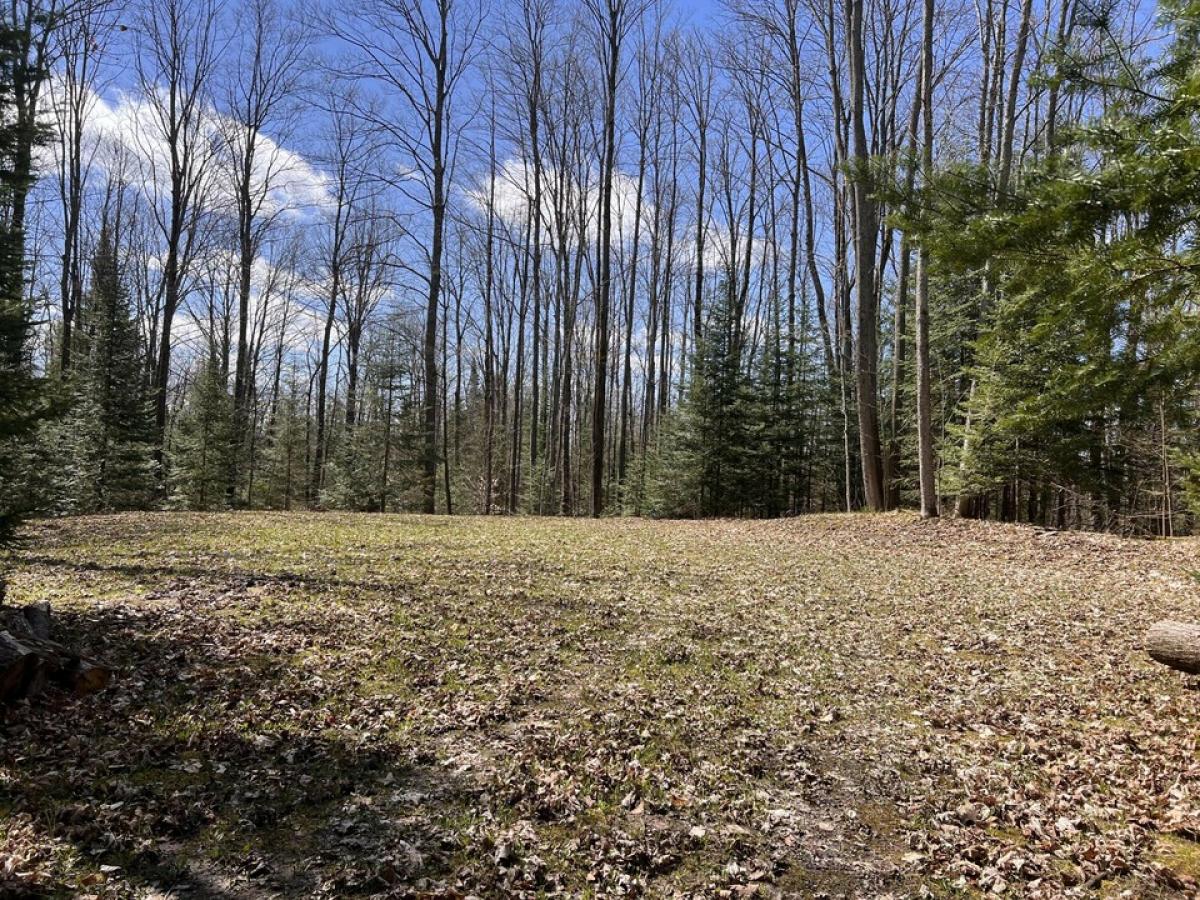 Picture of Residential Land For Sale in Johannesburg, Michigan, United States