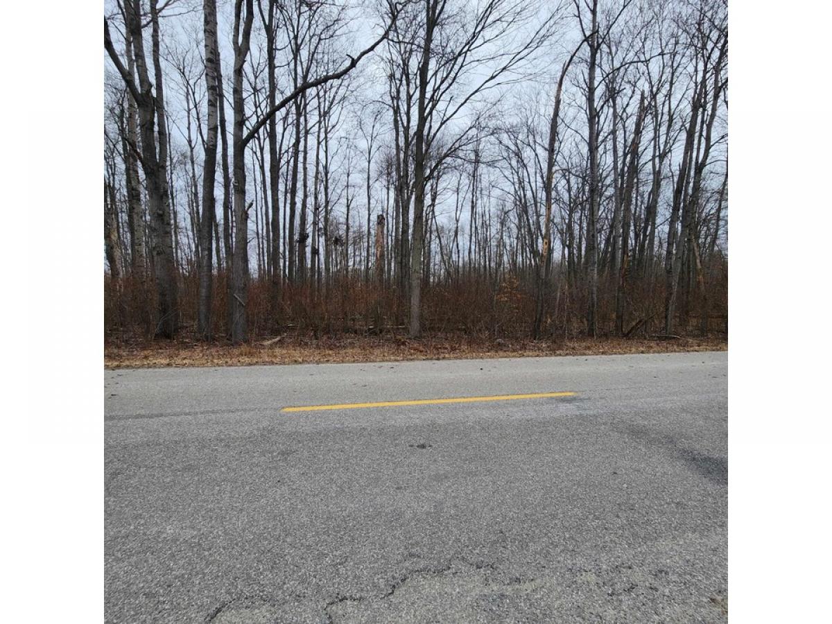 Picture of Residential Land For Sale in Greenbush, Michigan, United States