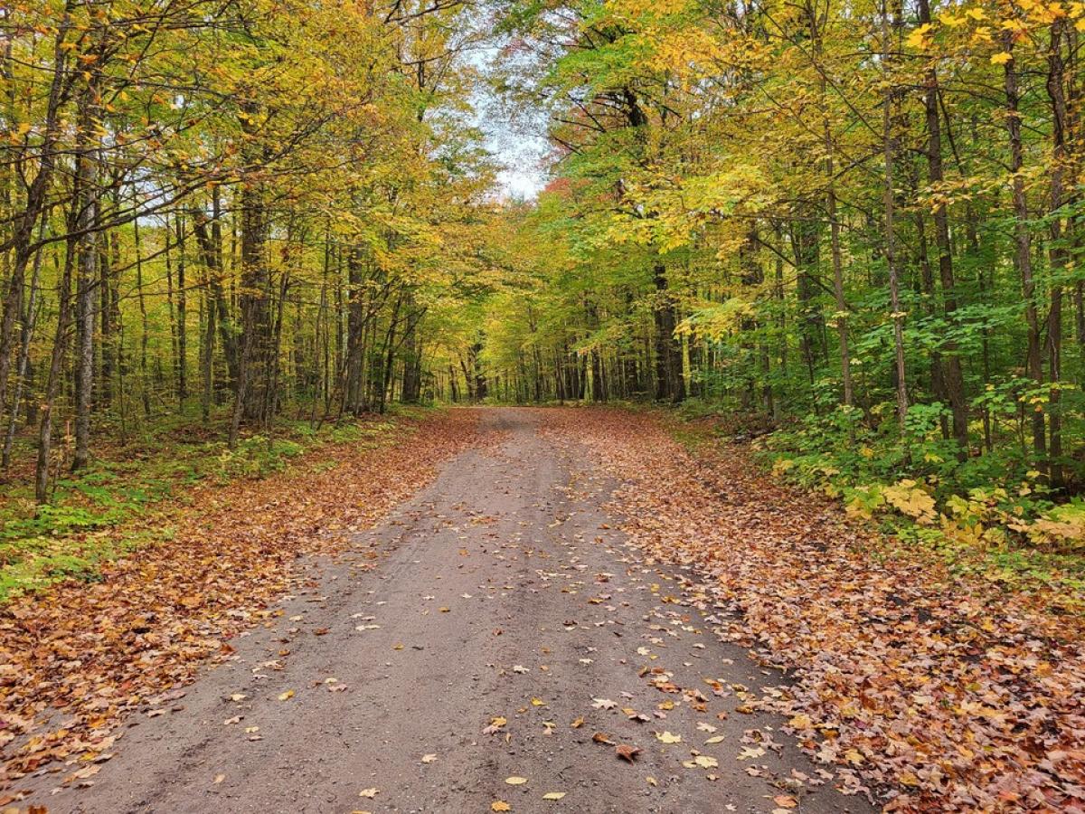 Picture of Residential Land For Sale in Gaylord, Michigan, United States