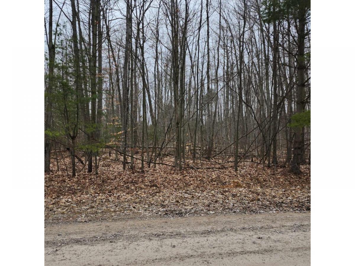 Picture of Residential Land For Sale in Greenbush, Michigan, United States