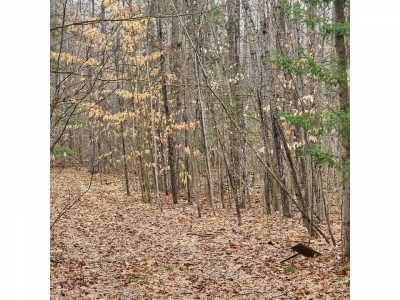 Residential Land For Sale in Glennie, Michigan