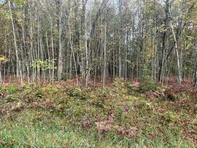 Residential Land For Sale in Houghton Lake, Michigan