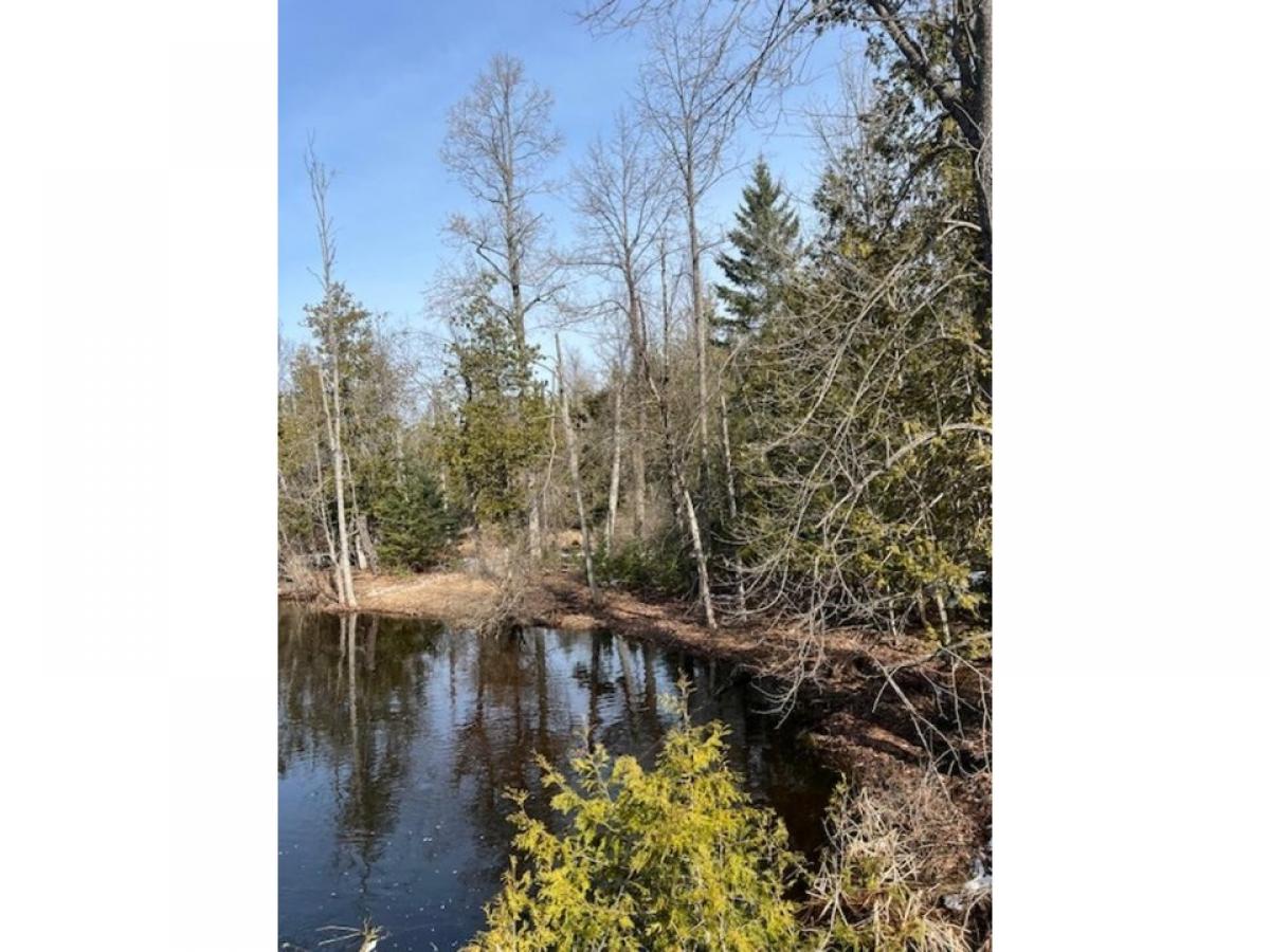 Picture of Residential Land For Sale in Rogers City, Michigan, United States