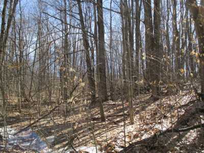 Residential Land For Sale in Frederic, Michigan