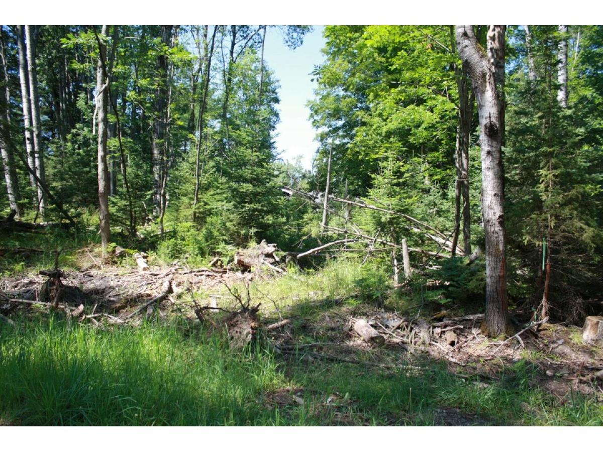 Picture of Residential Land For Sale in Lincoln, Michigan, United States