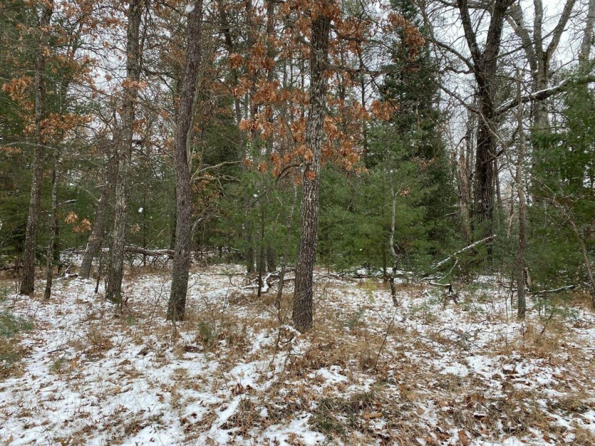 Picture of Residential Land For Sale in Mio, Michigan, United States