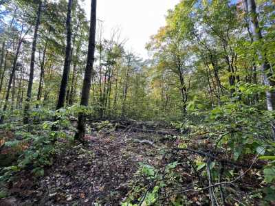 Residential Land For Sale in Wolverine, Michigan