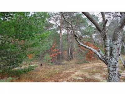 Residential Land For Sale in Cheboygan, Michigan