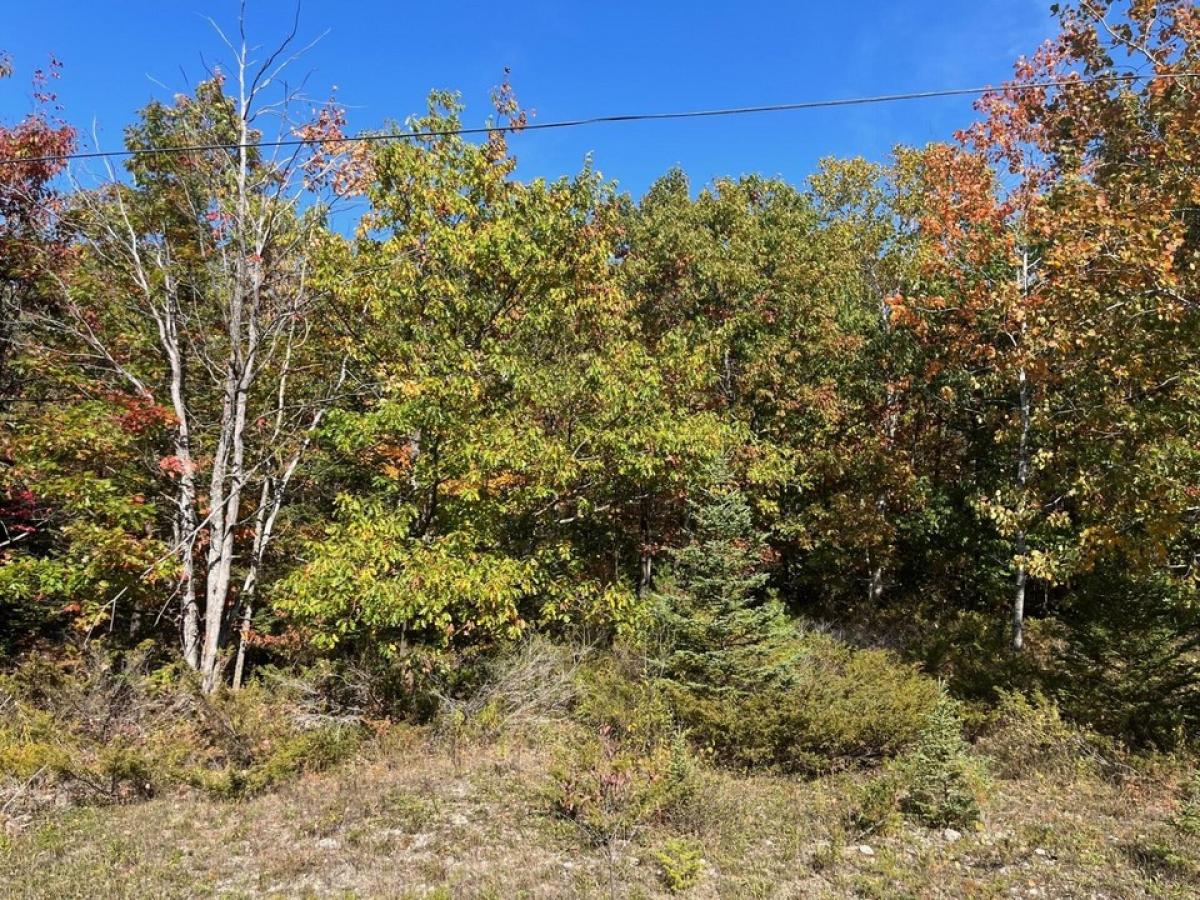 Picture of Residential Land For Sale in Presque Isle, Michigan, United States