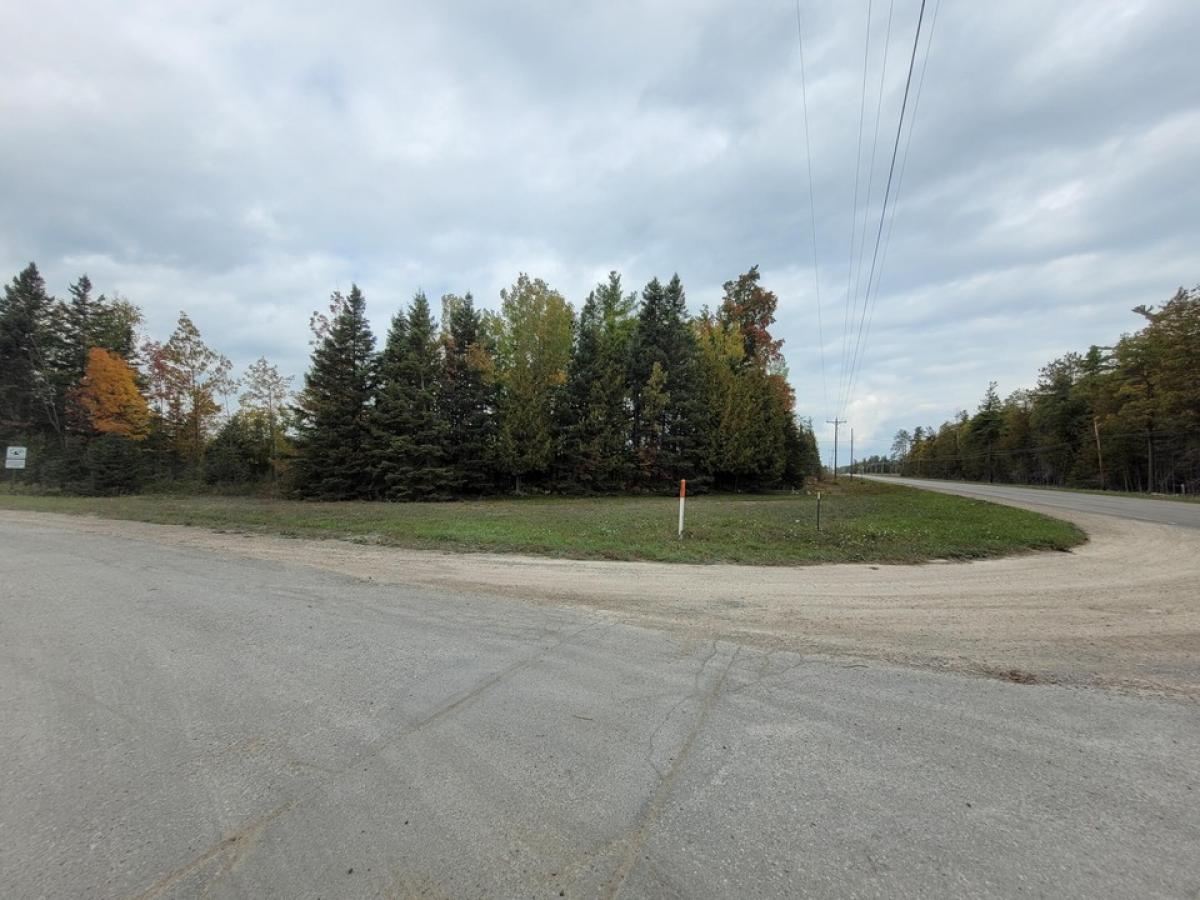 Picture of Residential Land For Sale in Rogers City, Michigan, United States