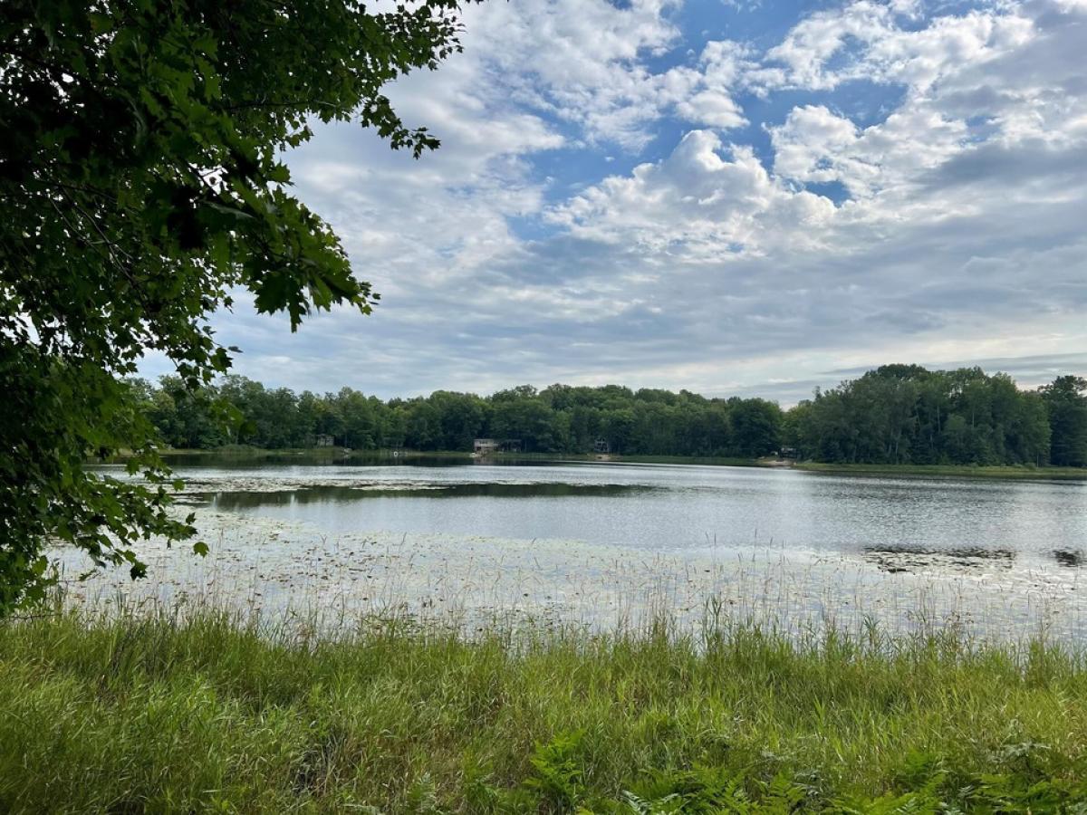 Picture of Residential Land For Sale in Johannesburg, Michigan, United States