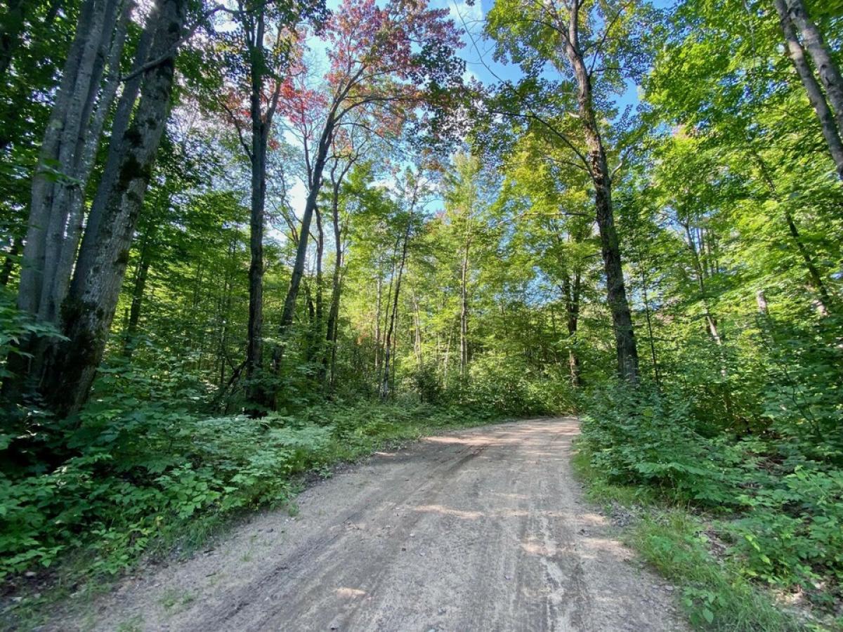 Picture of Residential Land For Sale in Gaylord, Michigan, United States