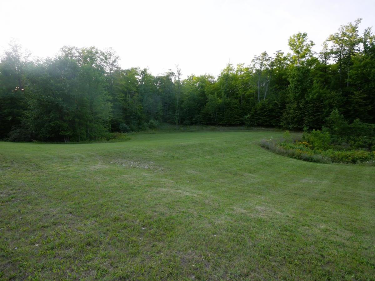 Picture of Residential Land For Sale in Hillman, Michigan, United States