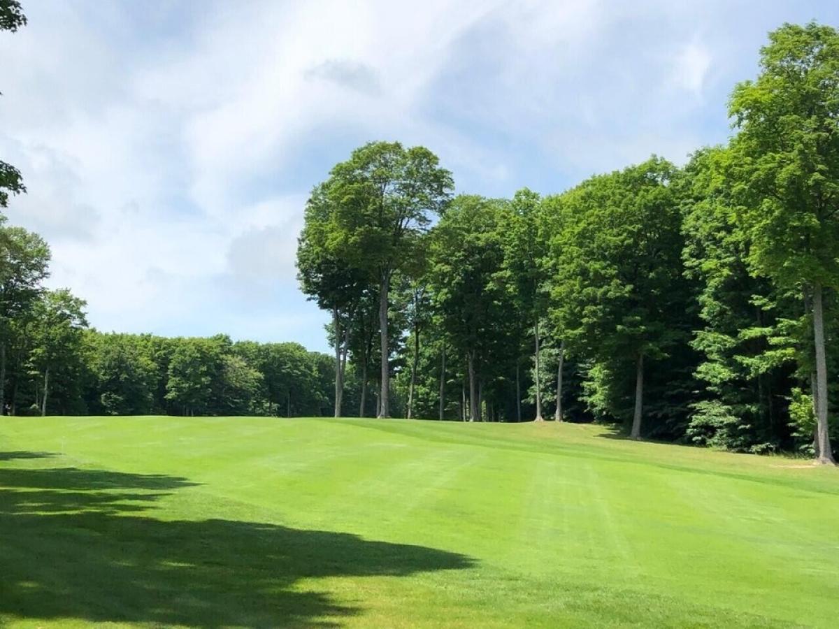 Picture of Residential Land For Sale in Harbor Springs, Michigan, United States