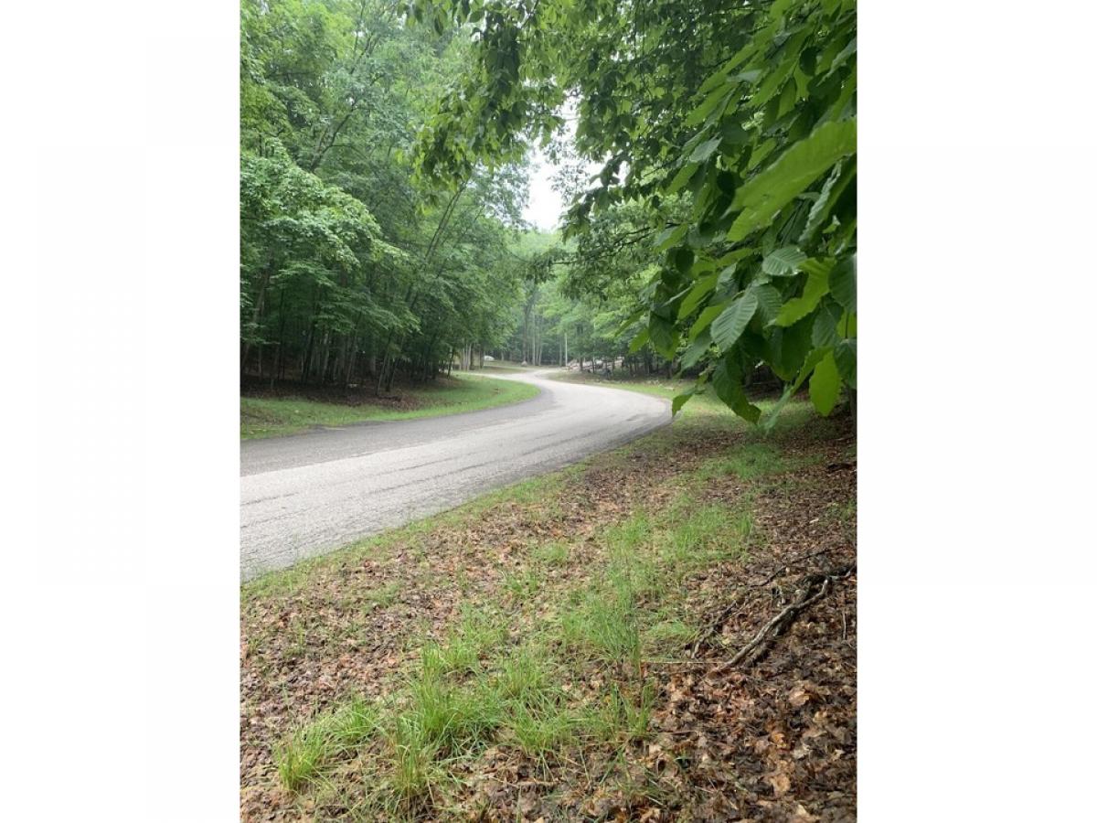 Picture of Residential Land For Sale in Gaylord, Michigan, United States