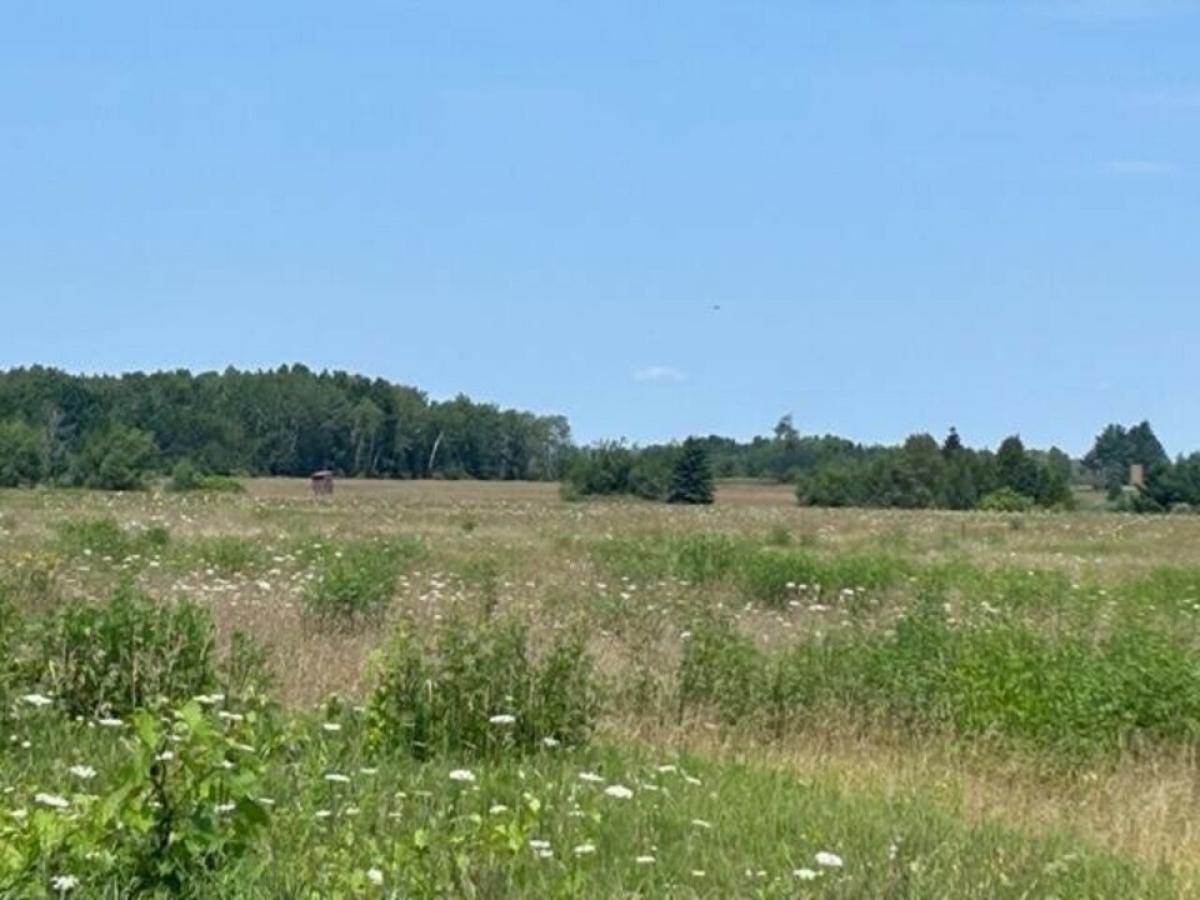 Picture of Residential Land For Sale in Ossineke, Michigan, United States