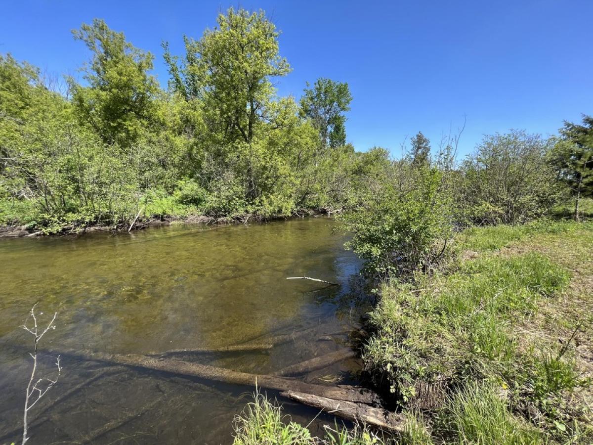 Picture of Residential Land For Sale in Wolverine, Michigan, United States