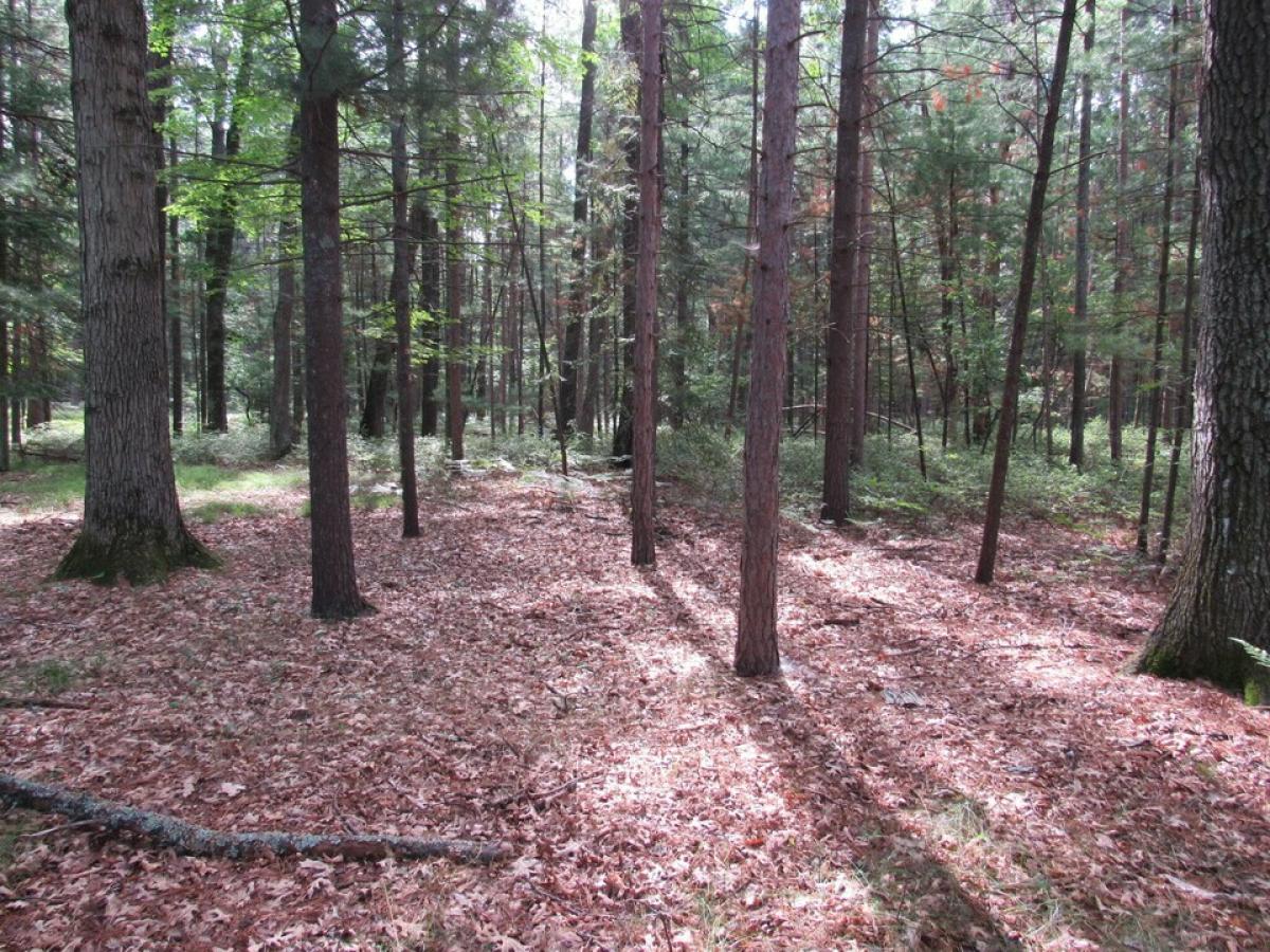 Picture of Residential Land For Sale in Prudenville, Michigan, United States