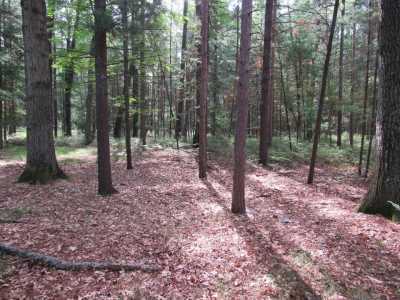 Residential Land For Sale in Prudenville, Michigan