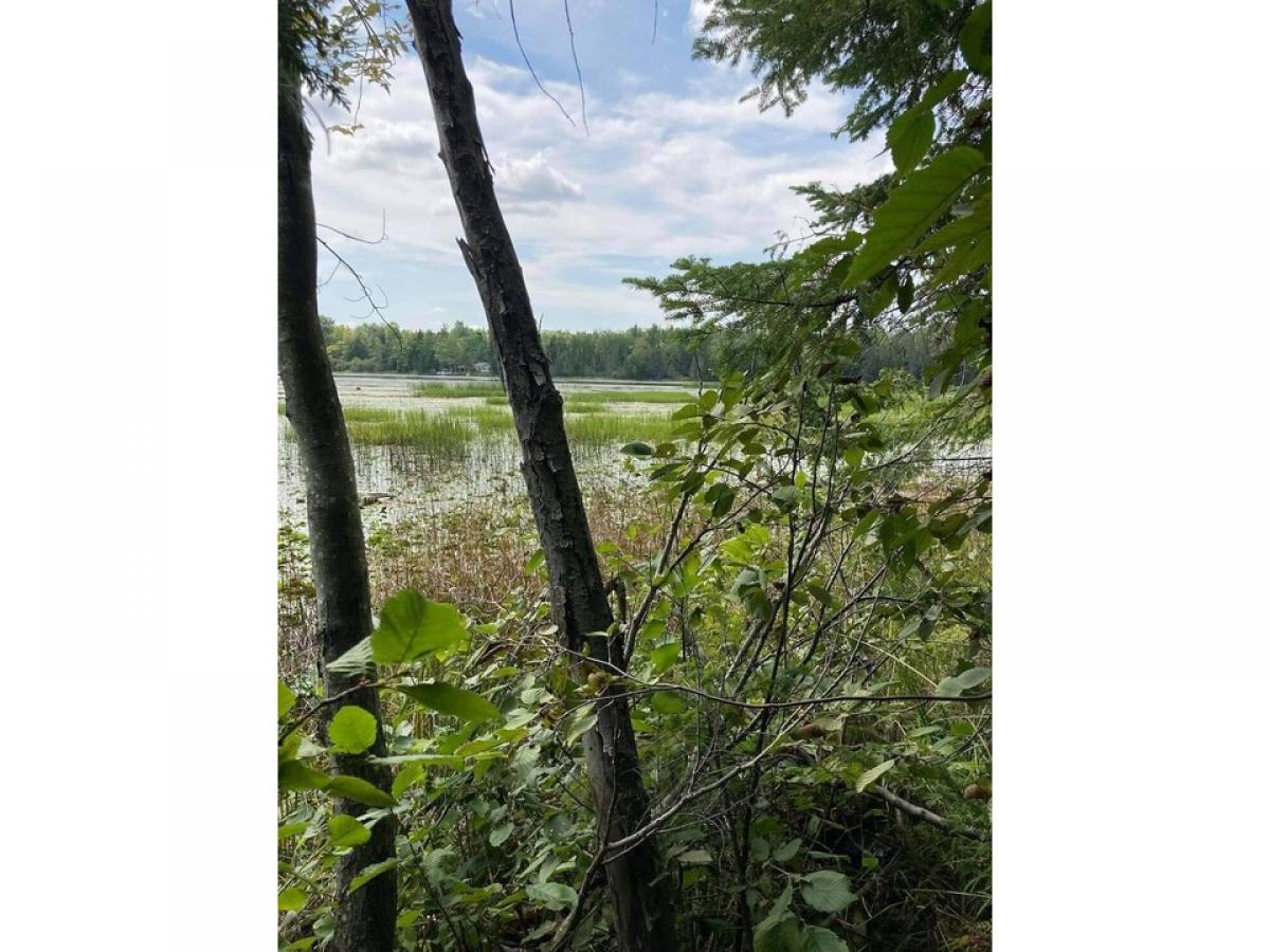 Picture of Residential Land For Sale in Alpena, Michigan, United States