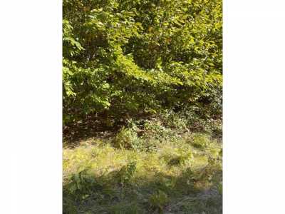 Residential Land For Sale in Grayling, Michigan