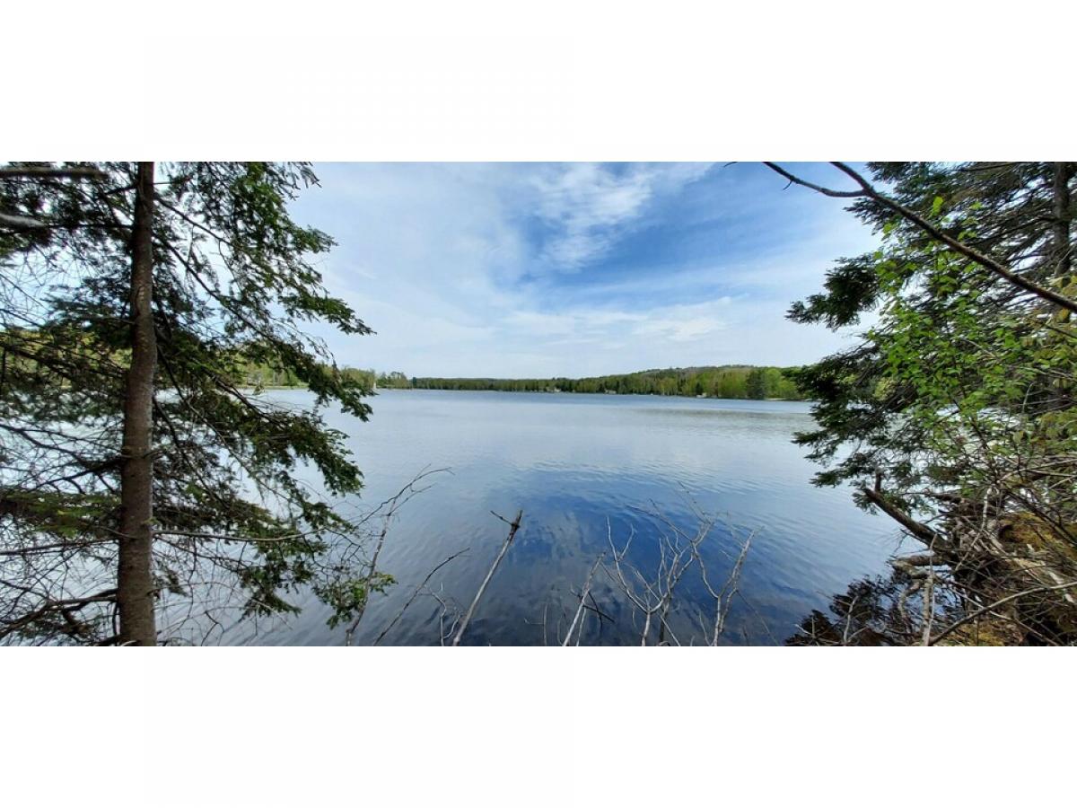 Picture of Residential Land For Sale in Wolverine, Michigan, United States