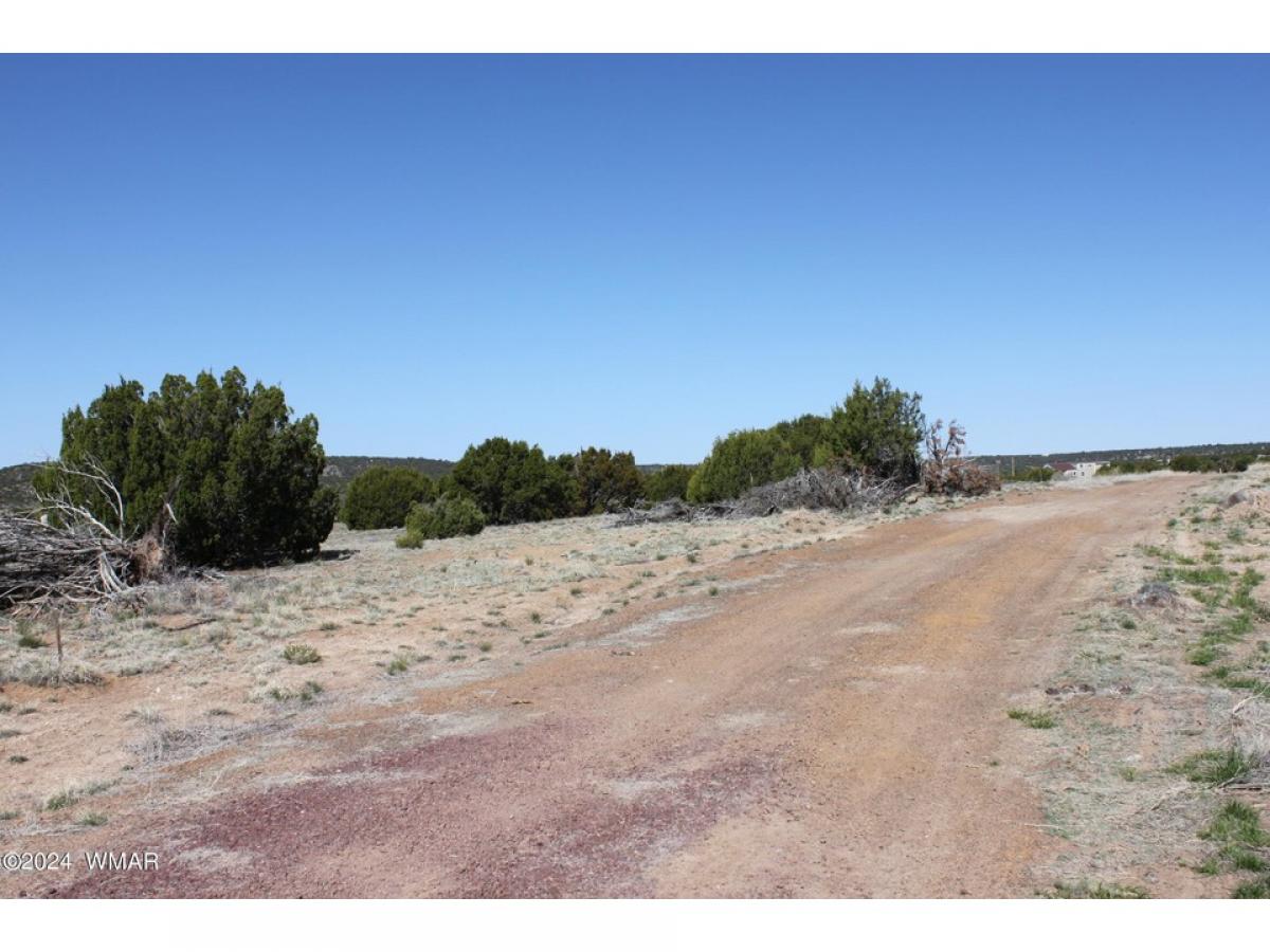 Picture of Home For Sale in Concho, Arizona, United States